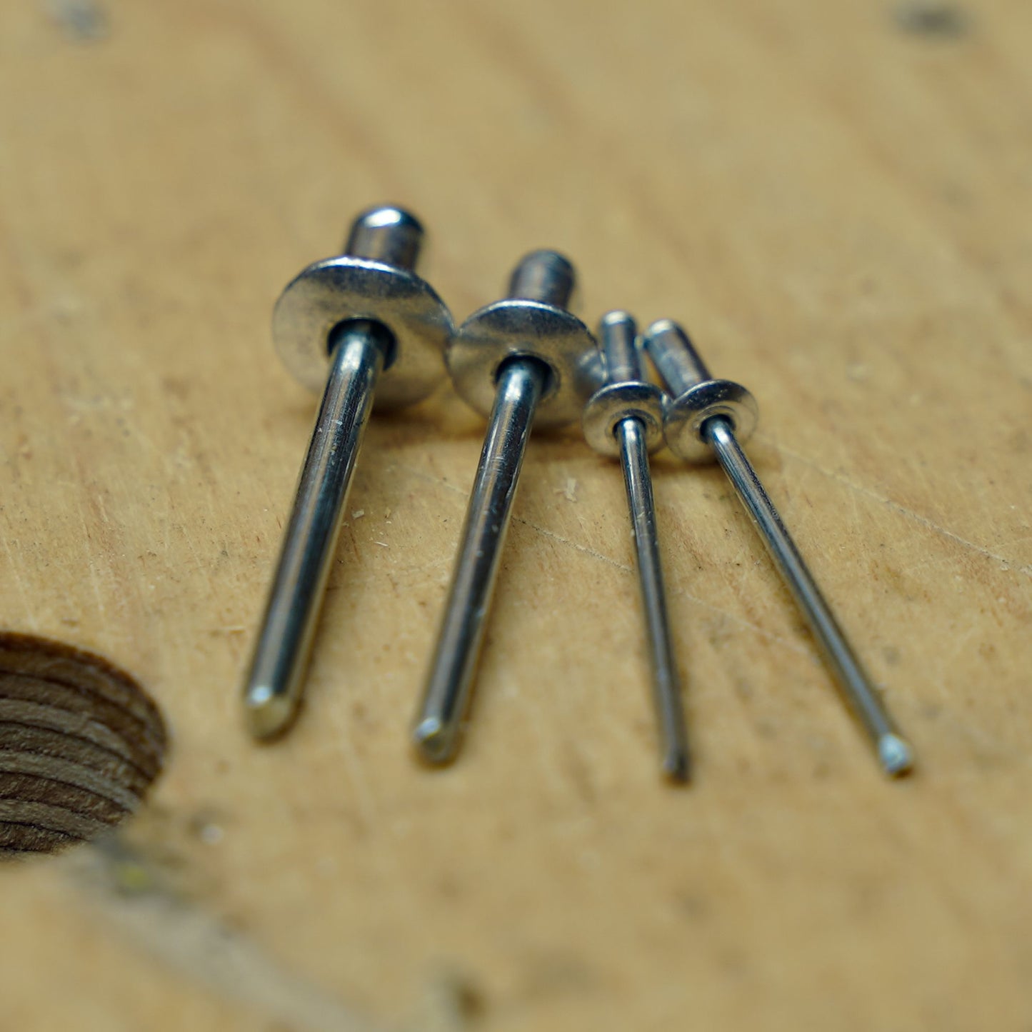Rivet Gun with 4 head sizes and 60 Rivets
